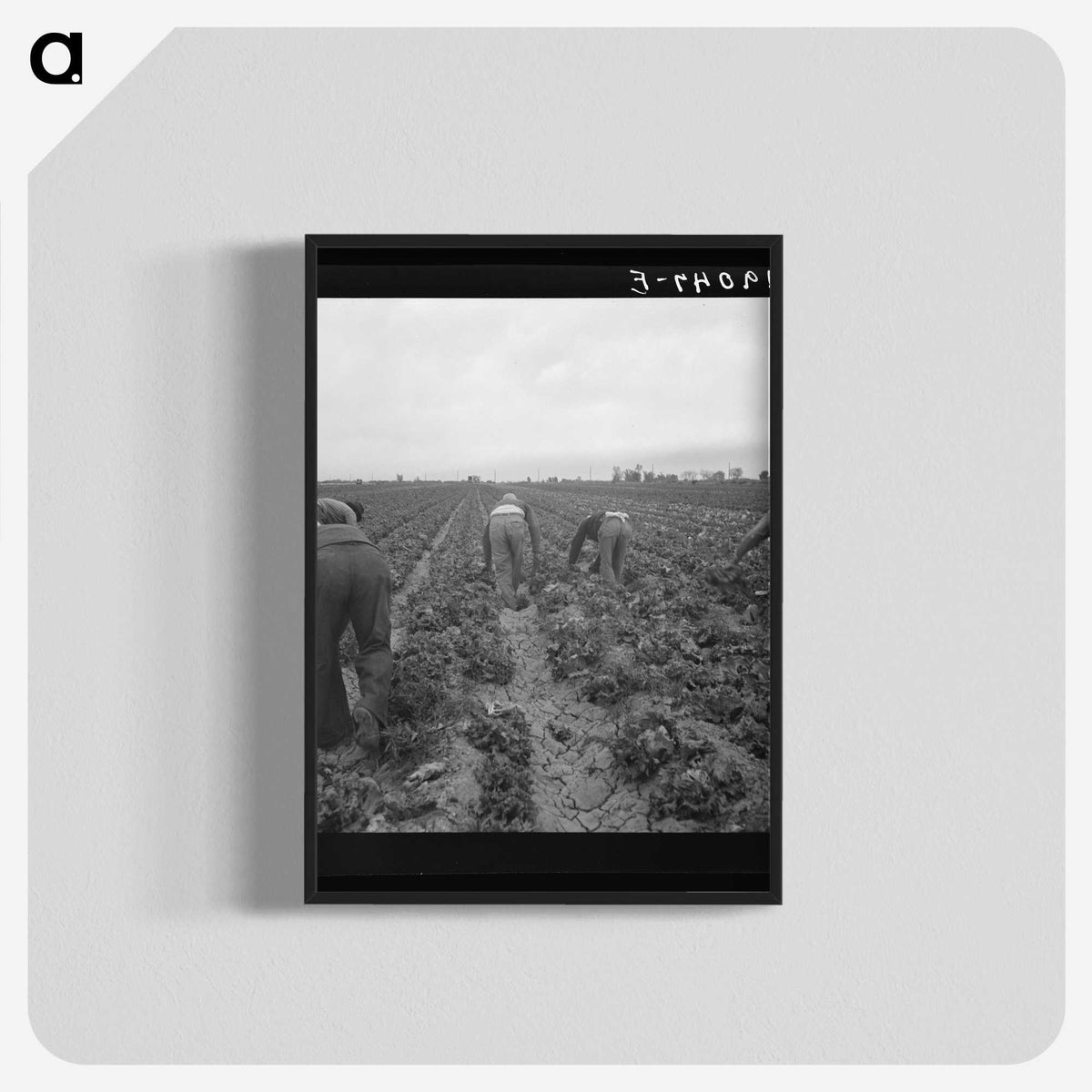 2-88_Dorothea-Lange_blk-crop