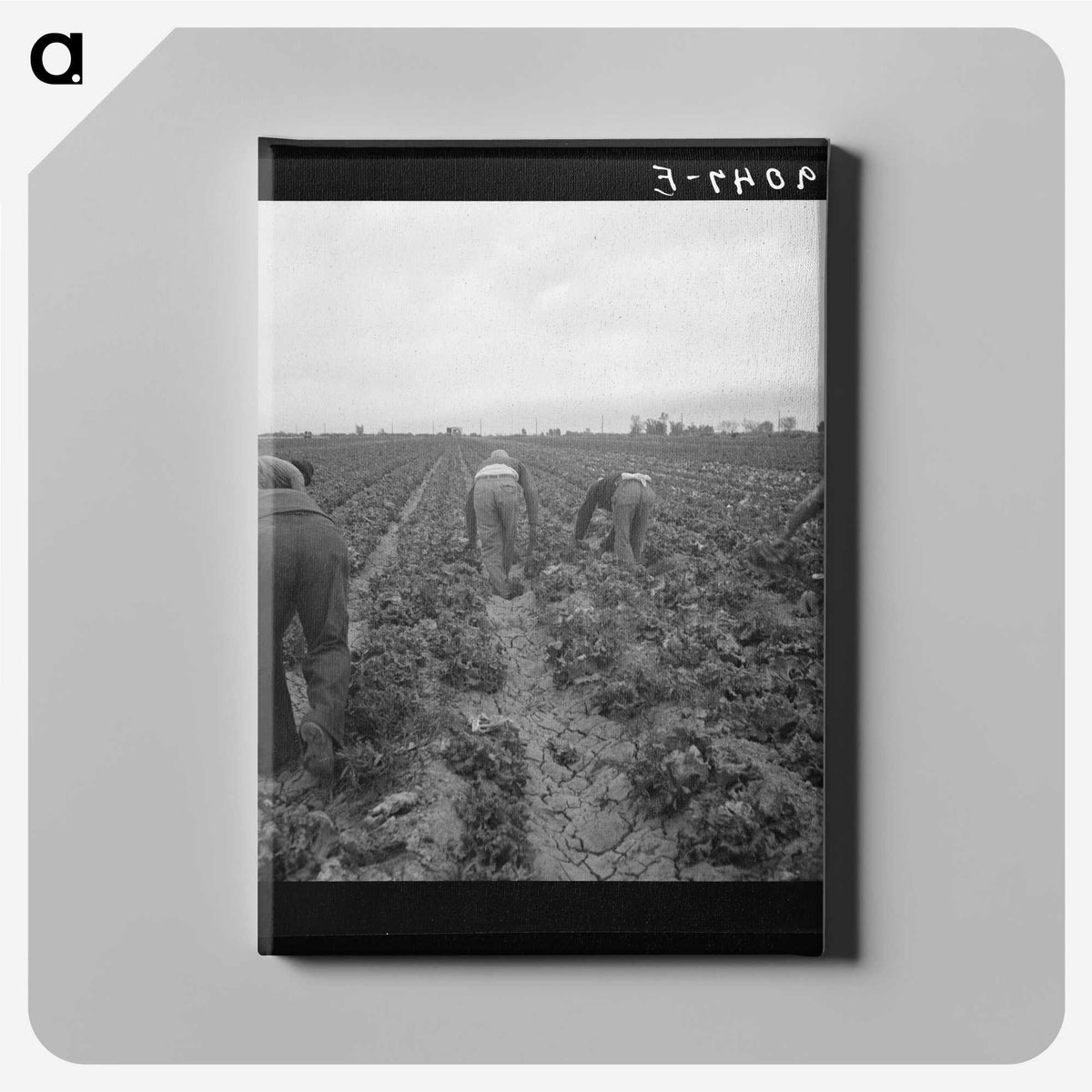 2-88_Dorothea-Lange_canvas
