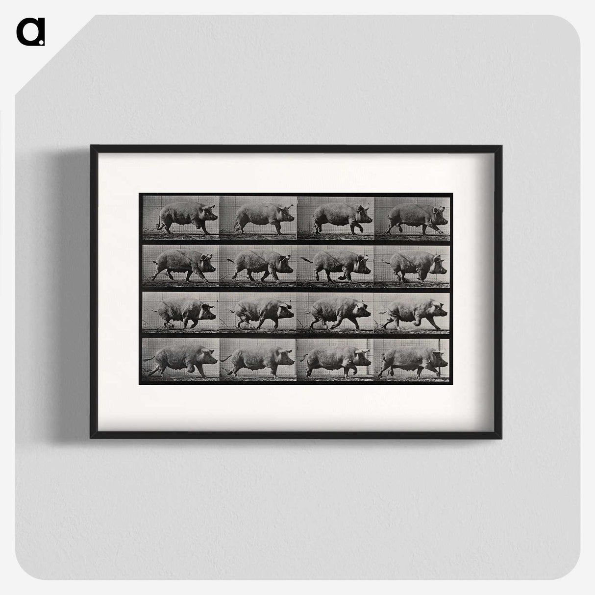 2-88_Eadweard-Muybridge_blk