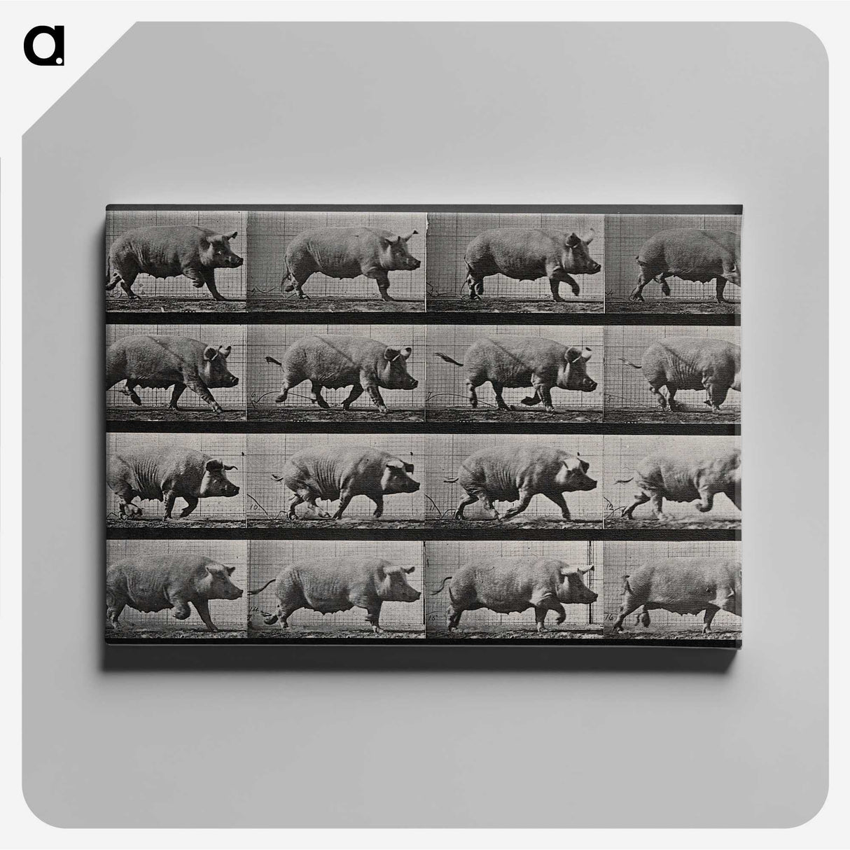 2-88_Eadweard-Muybridge_canvas