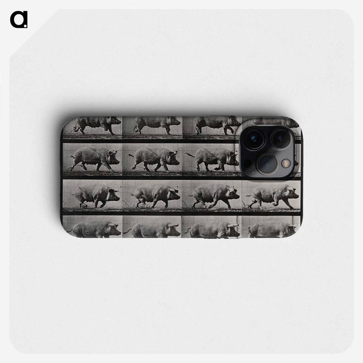 2-88_Eadweard-Muybridge_phone