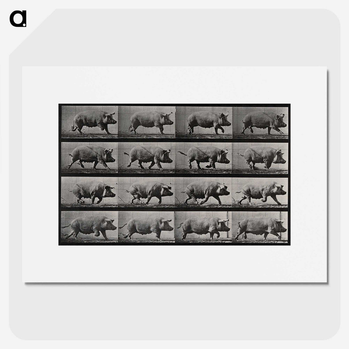 2-88_Eadweard-Muybridge_picture