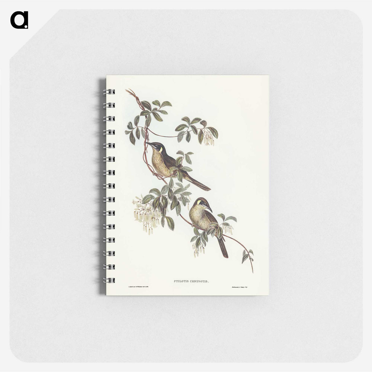 2-88_John-Gould_memo