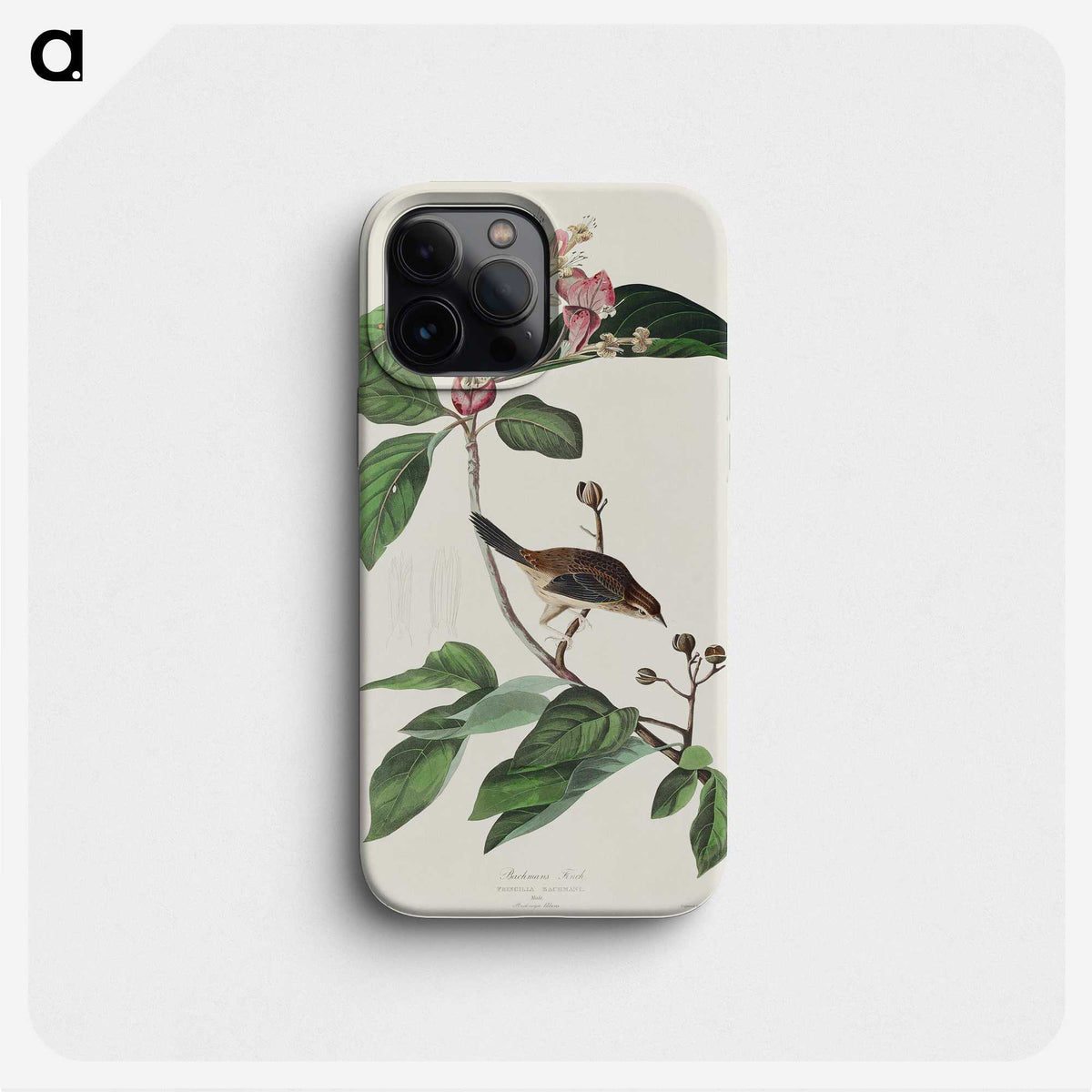 2-88_John-James-Audubon_phone