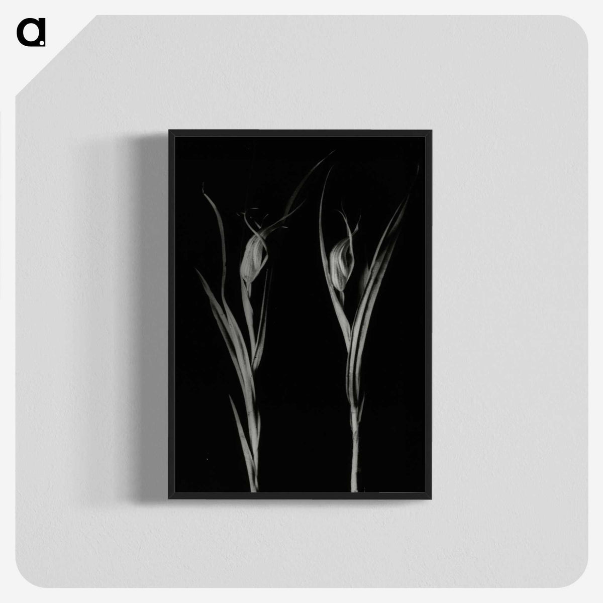 2-88_Leslie-Adkin_blk-crop
