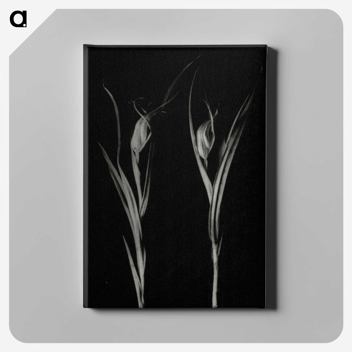 2-88_Leslie-Adkin_canvas
