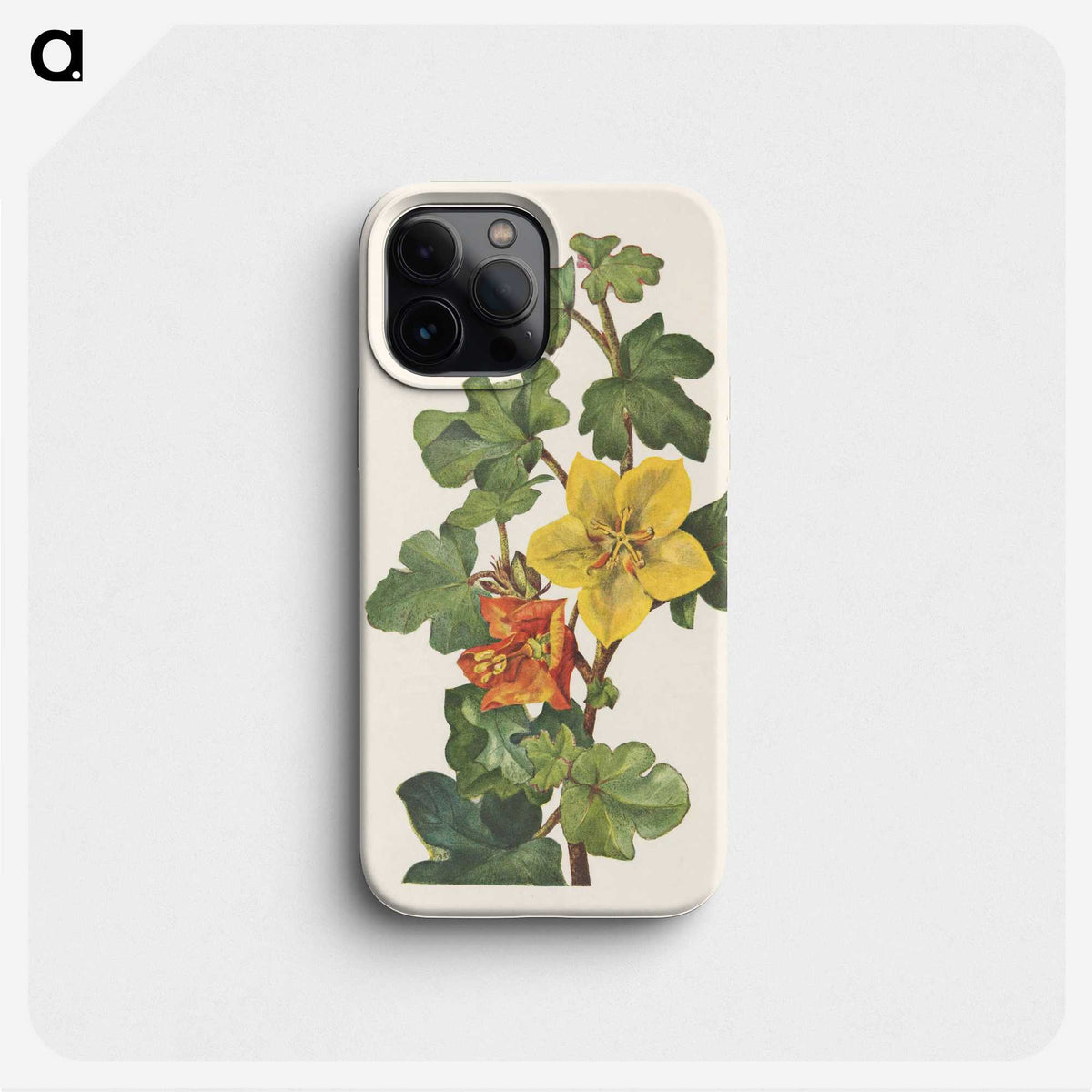 2-88_Mary-Vaux-Walcott_phone