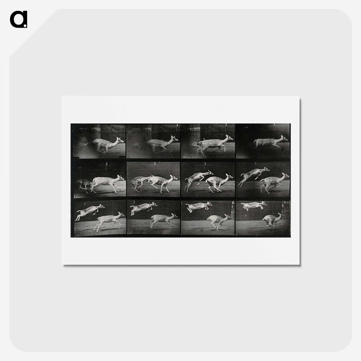 2-89_Eadweard-Muybridge_hagaki