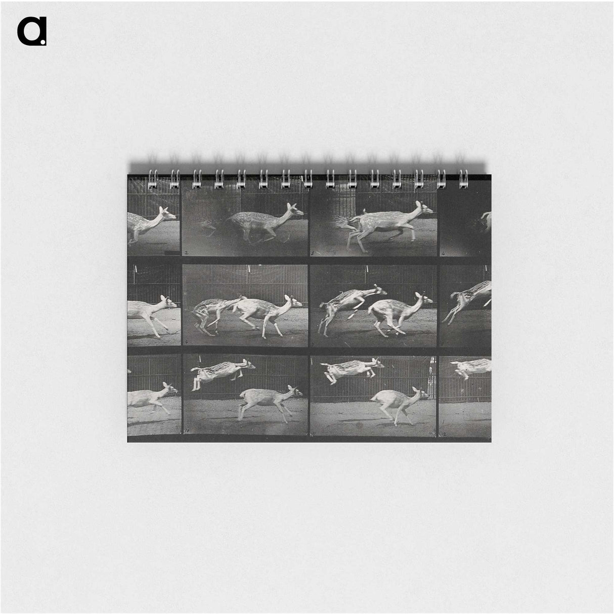 2-89_Eadweard-Muybridge_memo