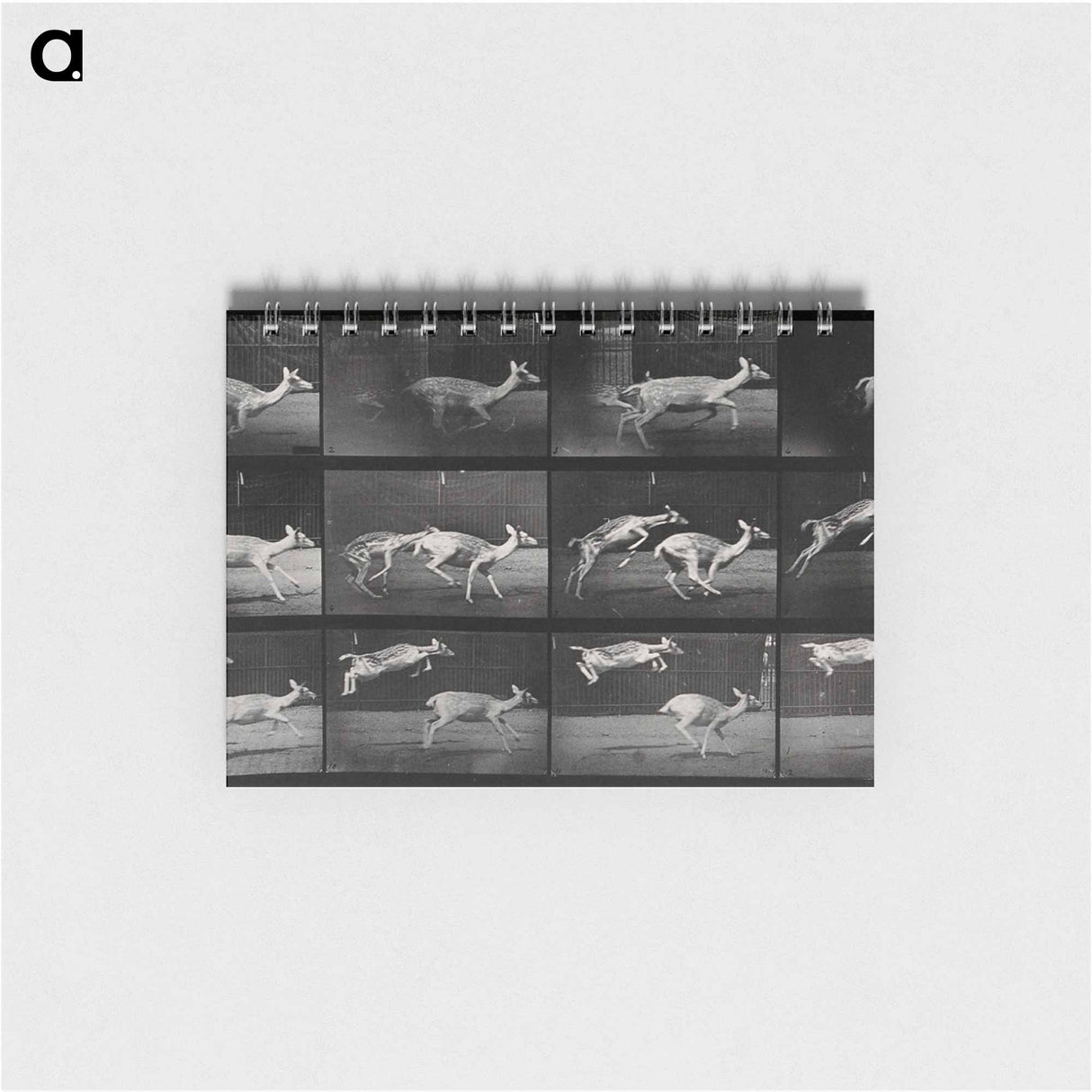 アートメモ帳-Jumping Deer
- エドワード マイブリッジ Memo.
