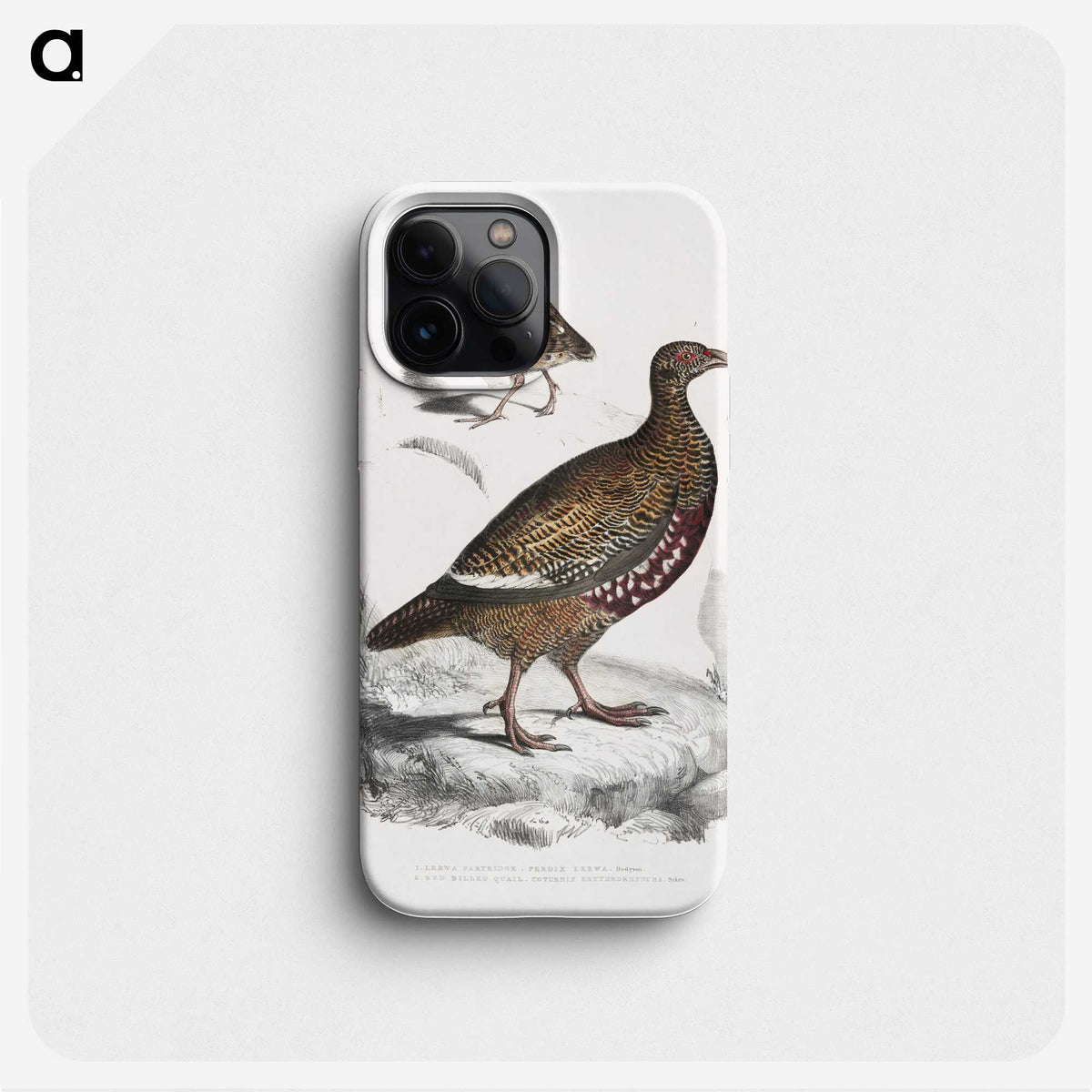 2-89_Indian-Zoology_phone