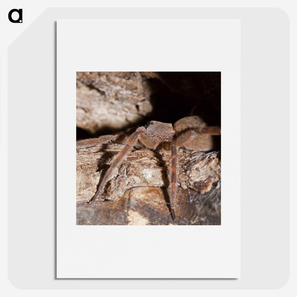 2-89_Insects-Unlocked-Project_picture