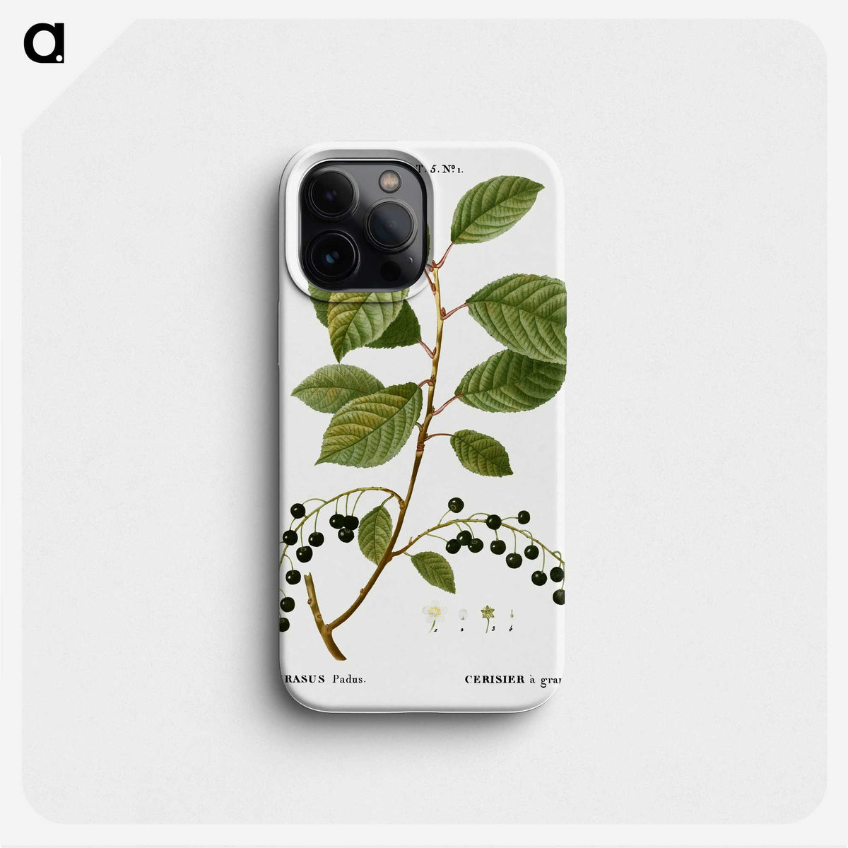 2-89_Treatise-on-Trees-and-Shrubs_phone