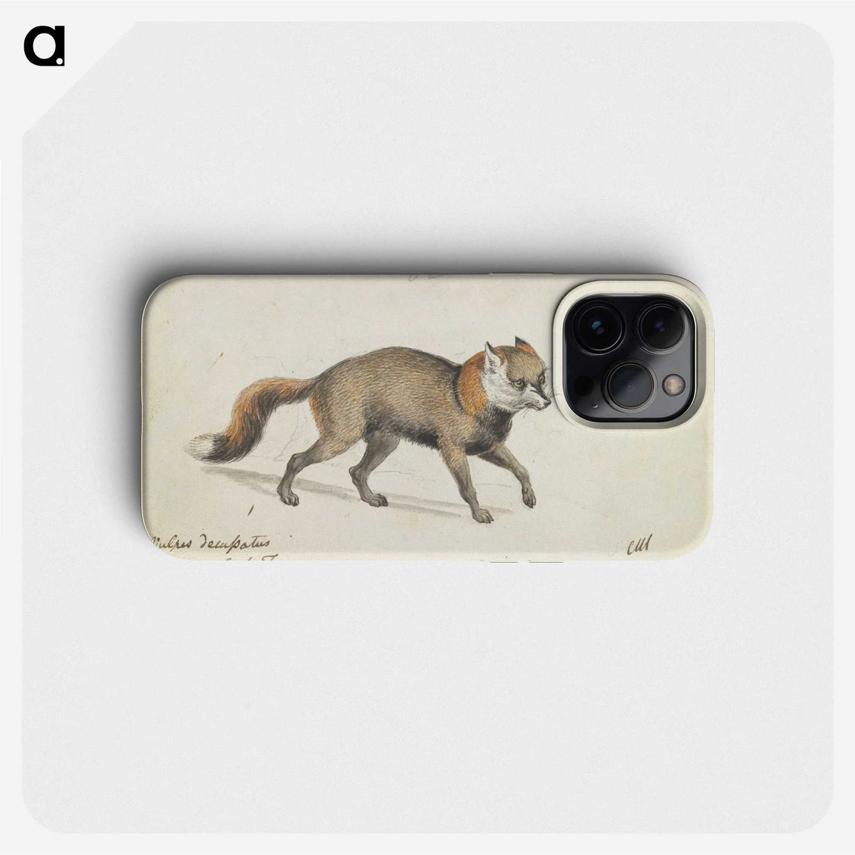 2-8_Charles-Hamilton-Smith_phone