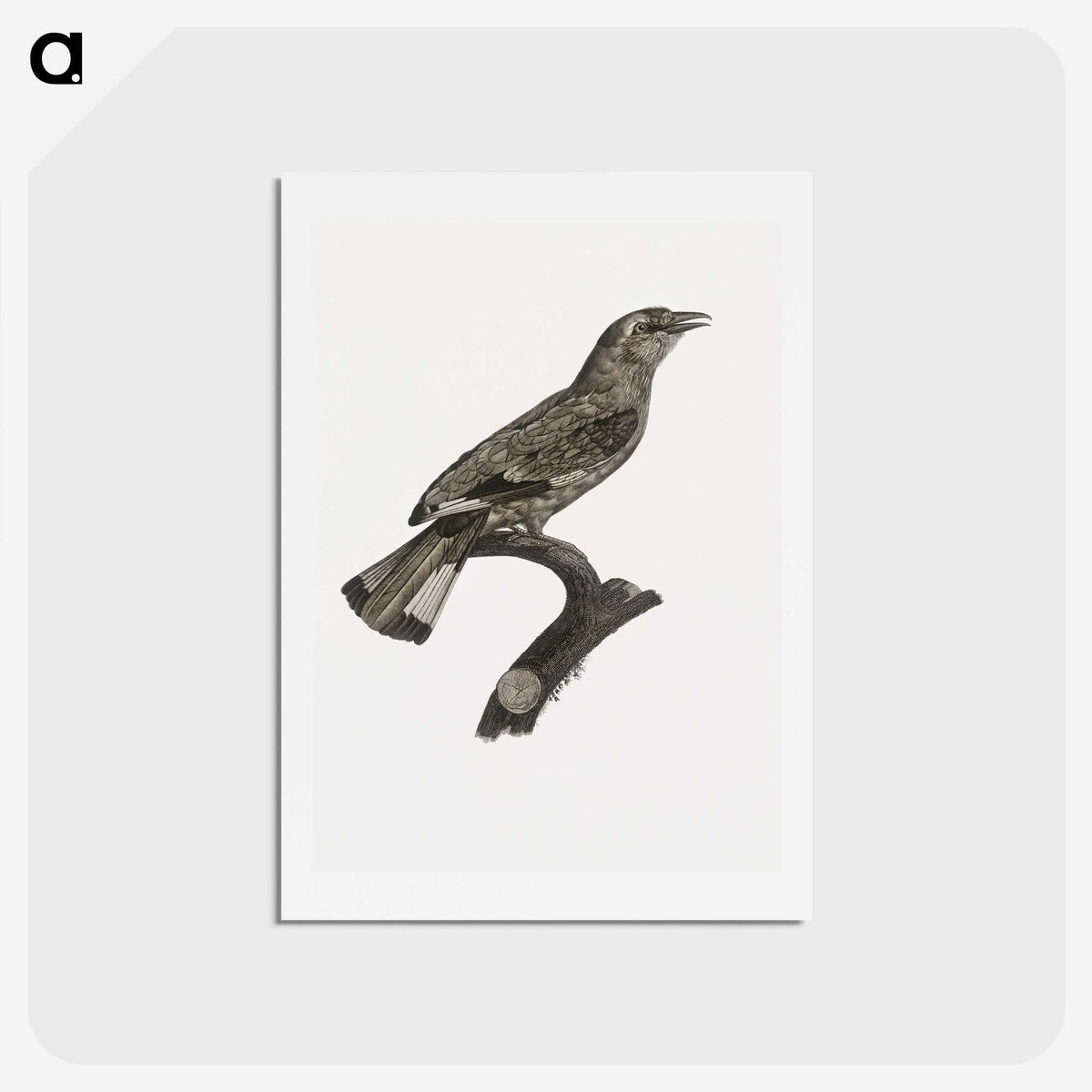 2-8_Des-Oiseaux-de-Paradis_hagaki