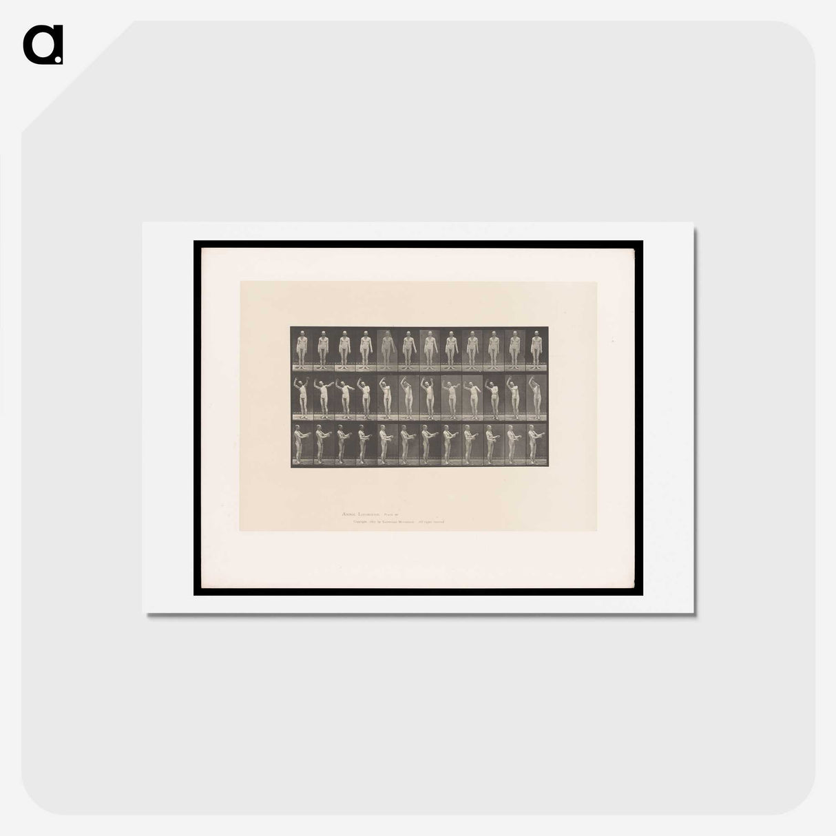 2-8_Eadweard-Muybridge_hagaki