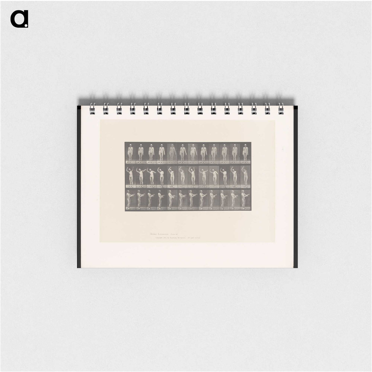 2-8_Eadweard-Muybridge_memo