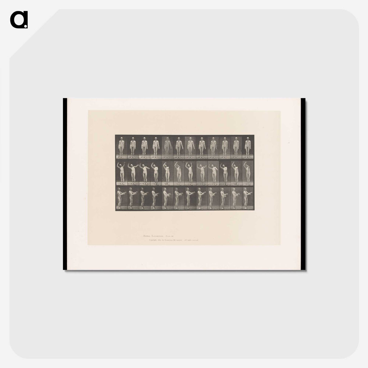 2-8_Eadweard-Muybridge_postcard