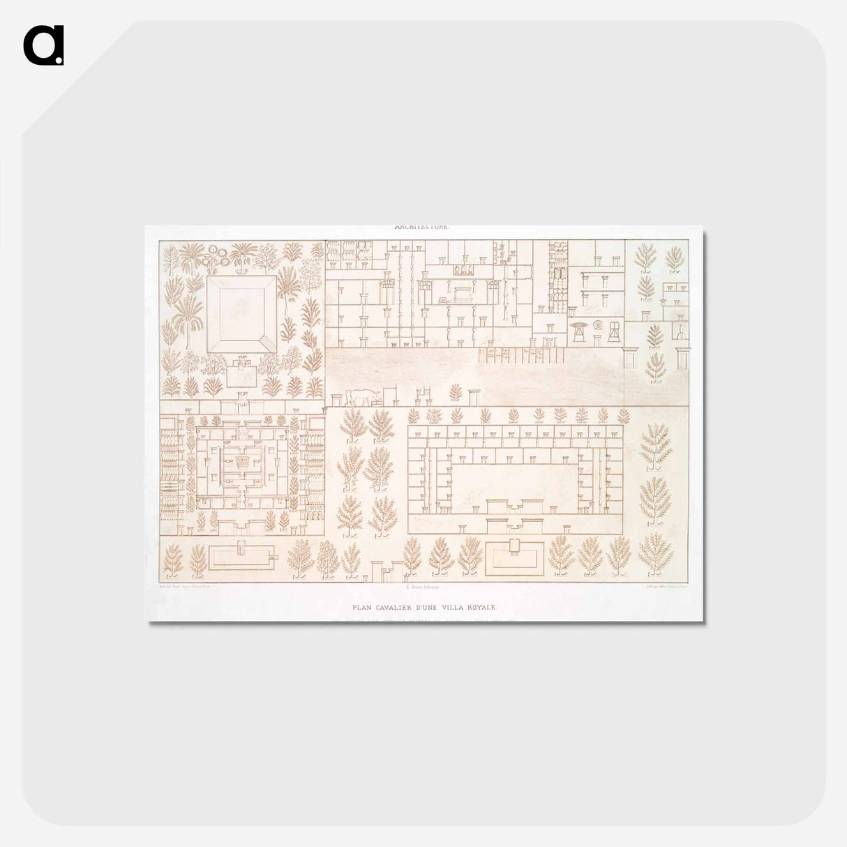 アートポストカード-Royal Villa Rider Plan
- エジプト美術史 Postcard.