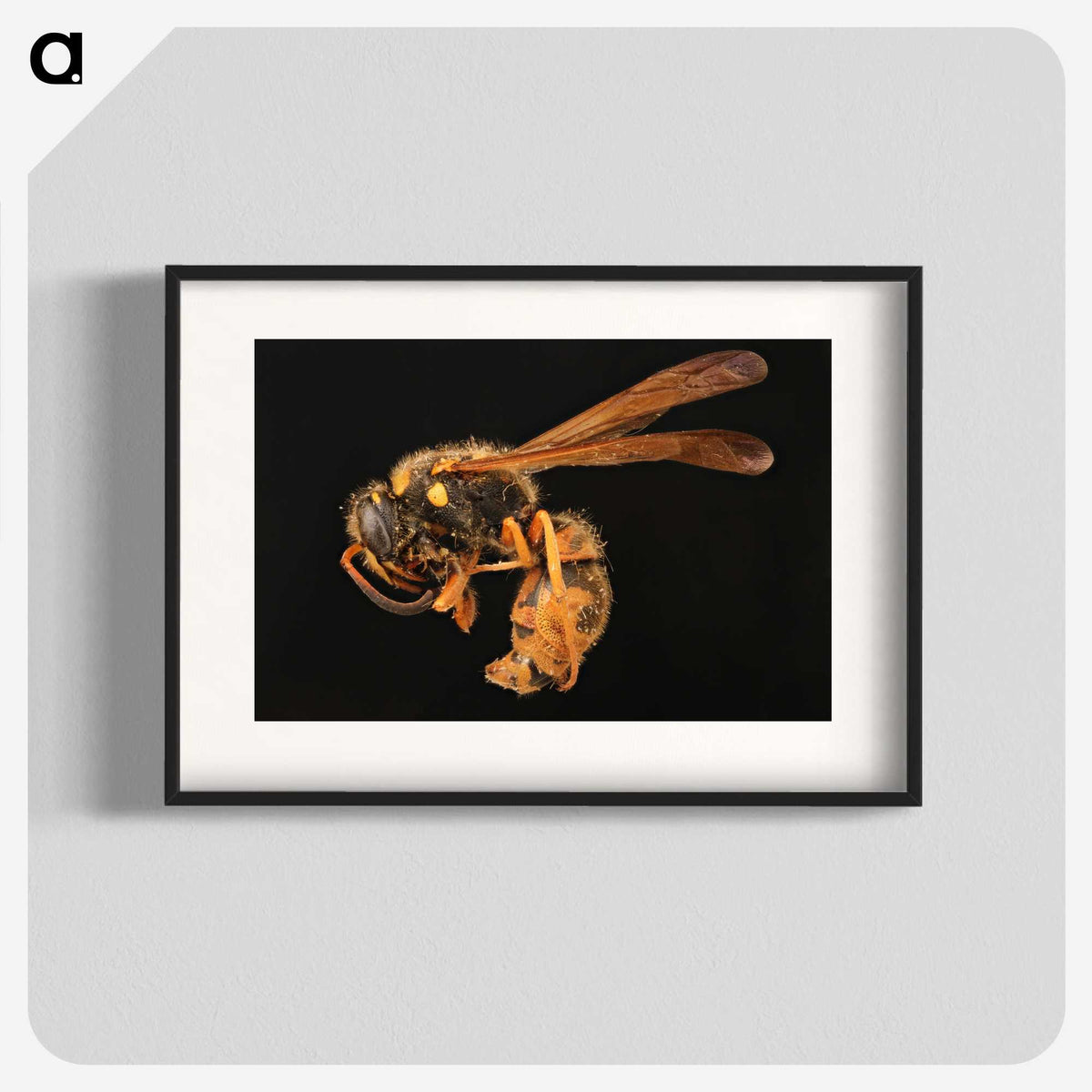 2-8_Insects-Unlocked-Project_blk