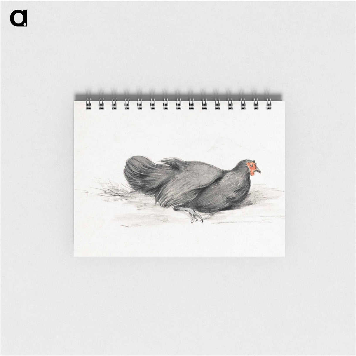 Black chicken drawing in high resolution by Jean Bernard - ジャン ベルナール Memo.