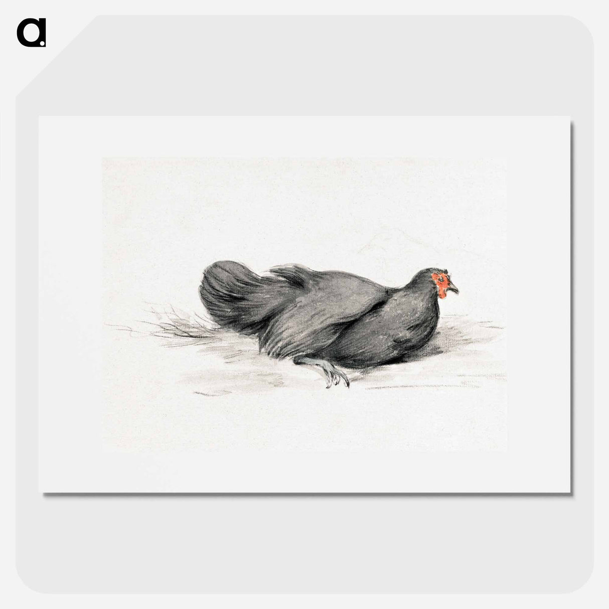アートポスター-Black chicken drawing in high resolution by Jean Bernard - ジャン ベルナール Poster.