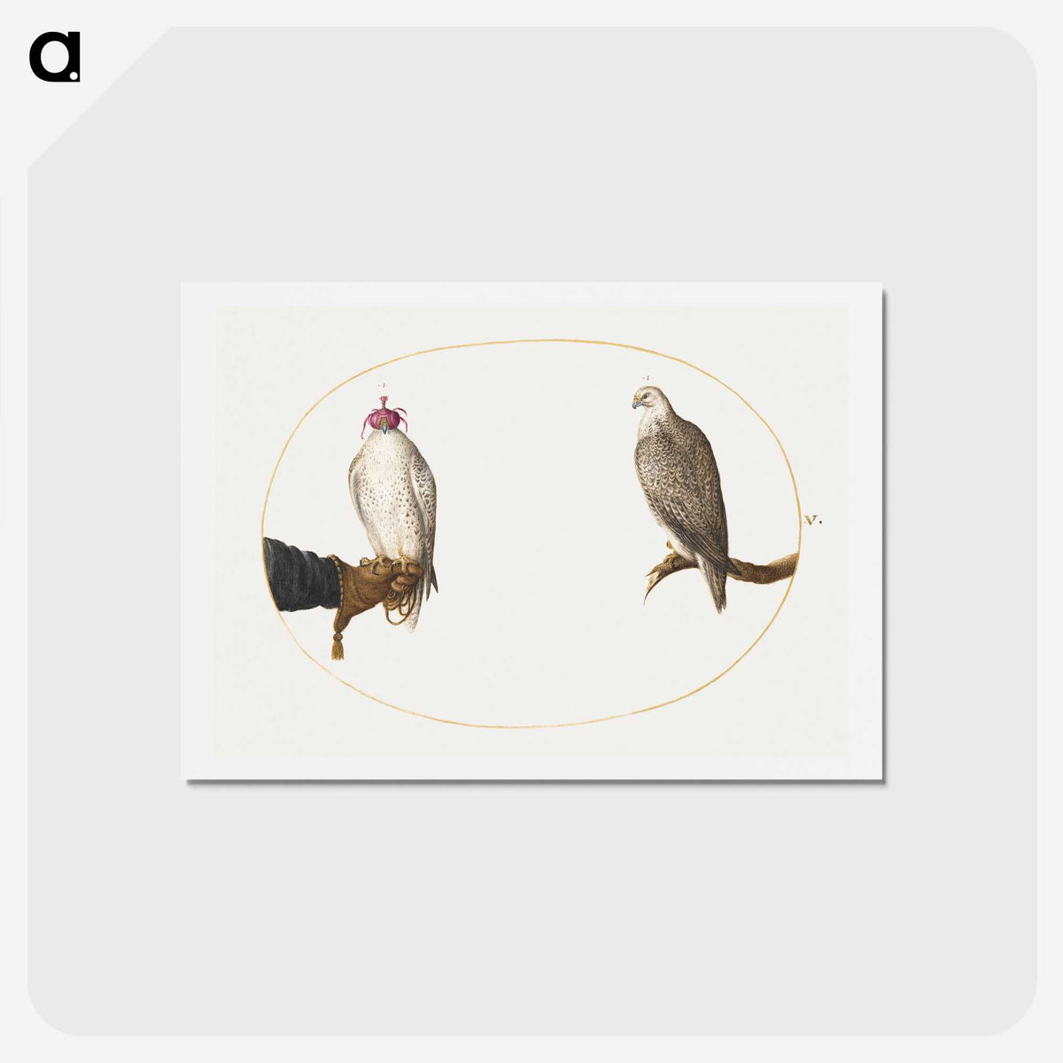 2-8_Joris-Hoefnagel_hagaki