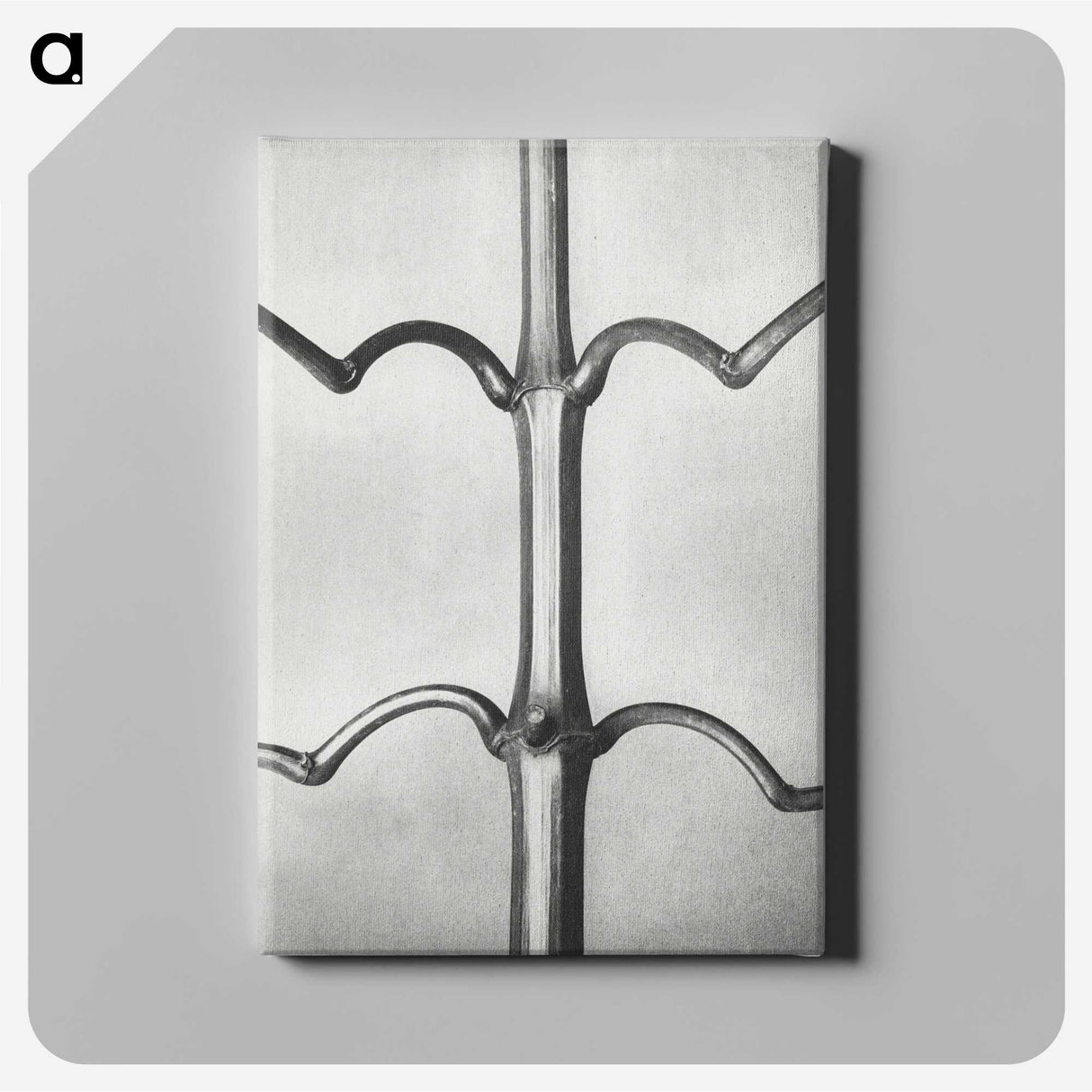 2-8_Karl-Blossfeldt_canvas