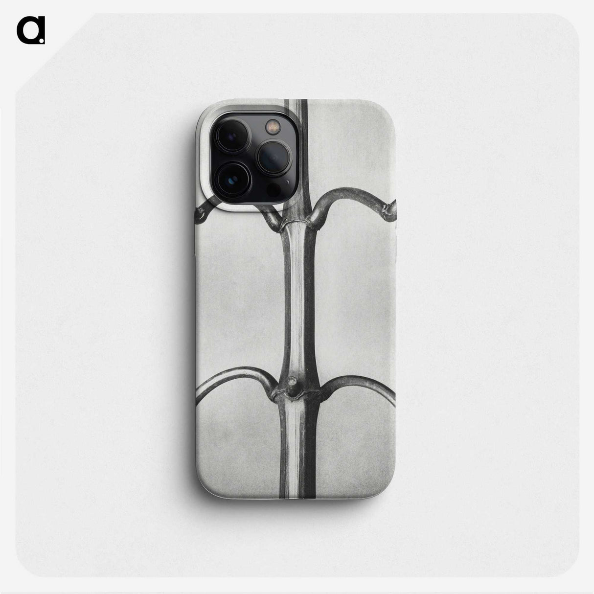 2-8_Karl-Blossfeldt_phone