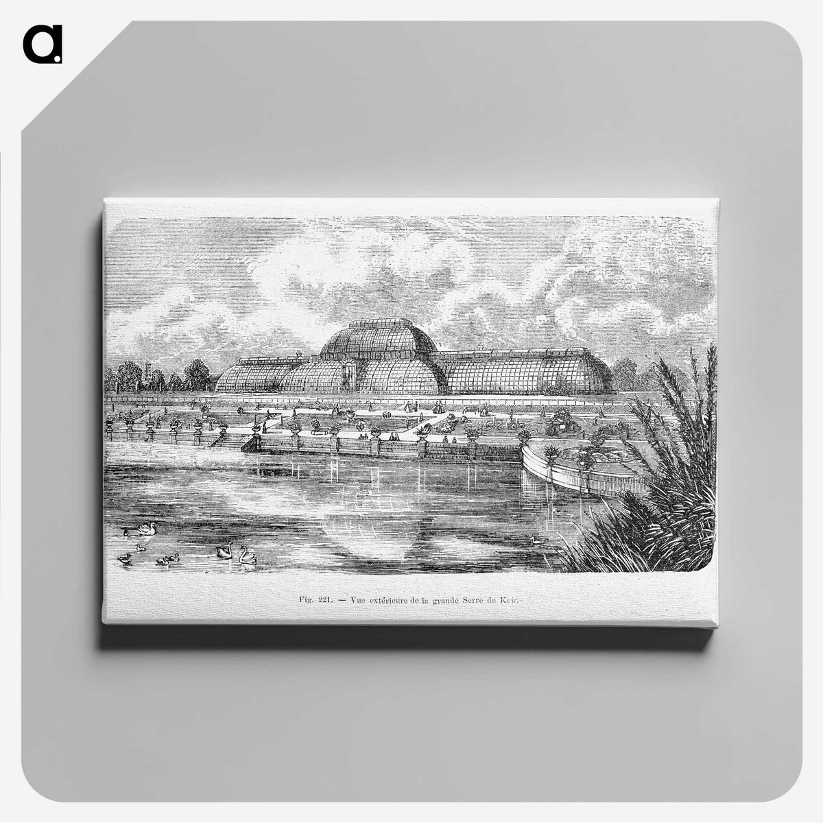 2-8_Les-Palmiers-Histoire-Iconographique_canvas