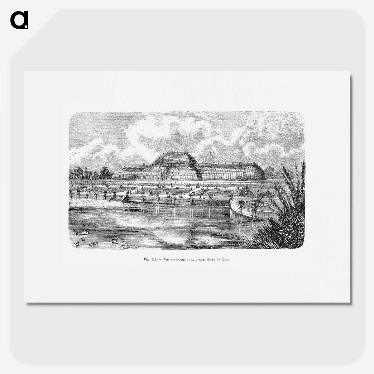 2-8_Les-Palmiers-Histoire-Iconographique_picture