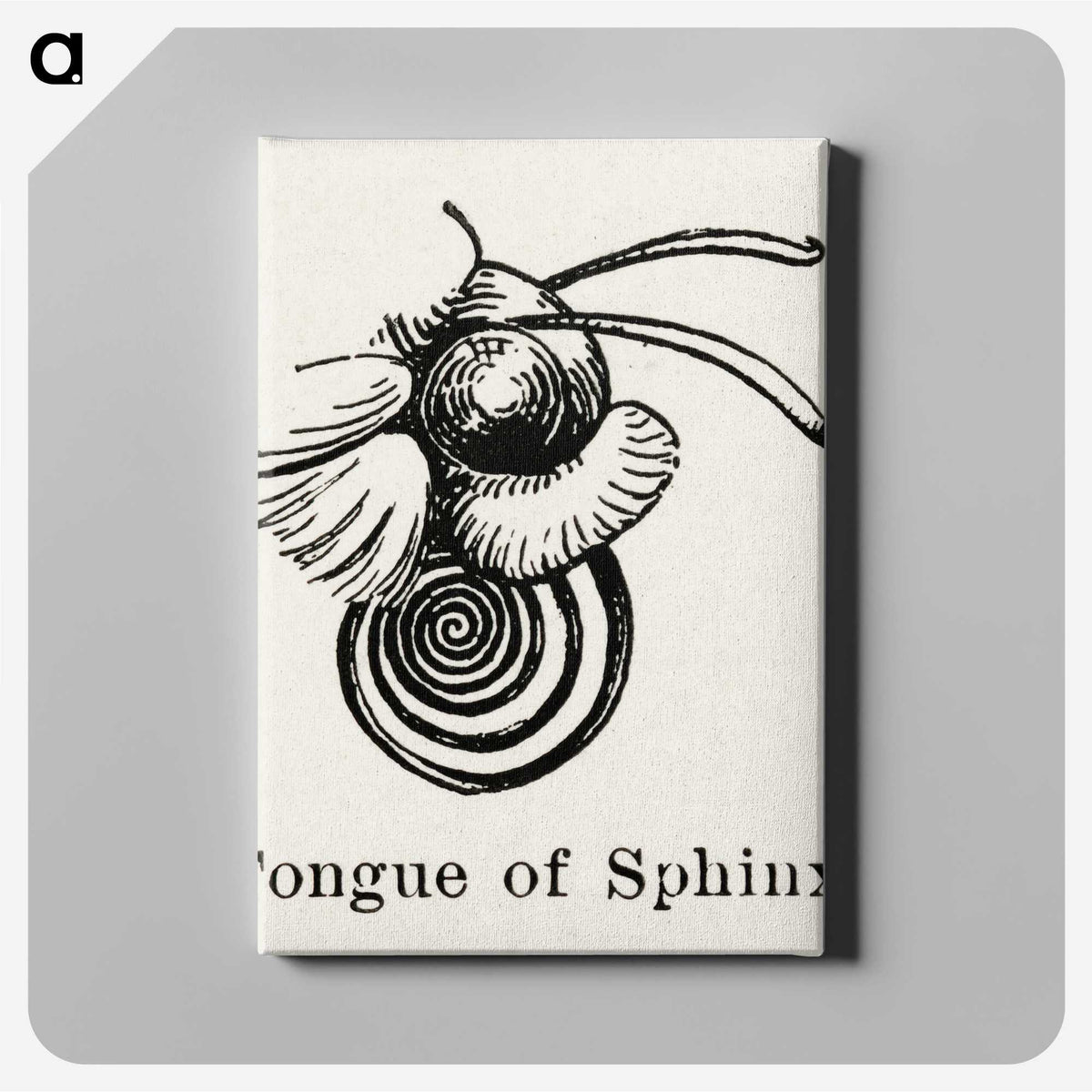 2-8_Moths-and-Butterflies-of-the-United-States_canvas