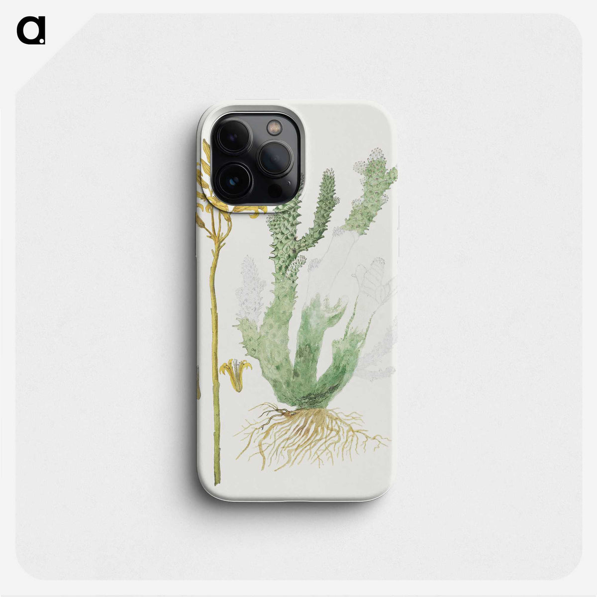2-8_Robert-Jacob-Gordon_phone