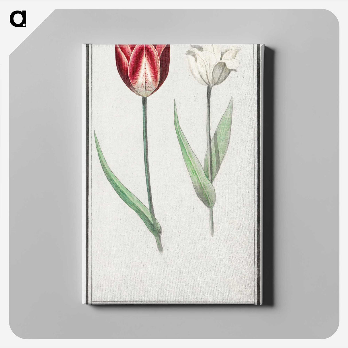 2-90_Anselmus-Boetius-de-Boodt_canvas