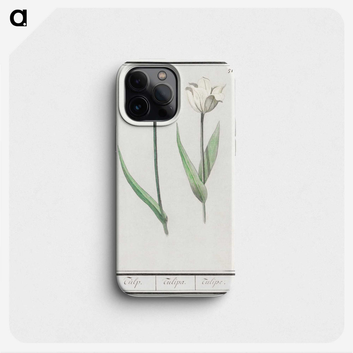 2-90_Anselmus-Boetius-de-Boodt_phone