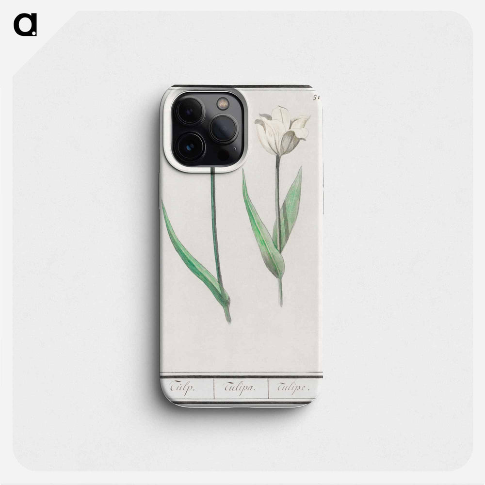 Tulip - アンセルムス ボエティウス デ ブート Phone Case.