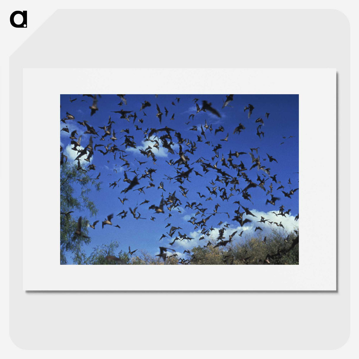 2-90_COVID-19_picture