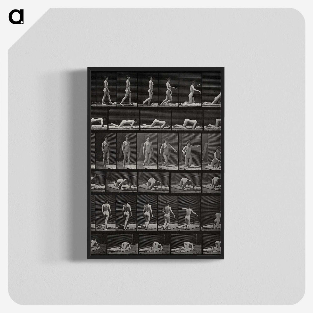 2-90_Eadweard-Muybridge_blk-crop
