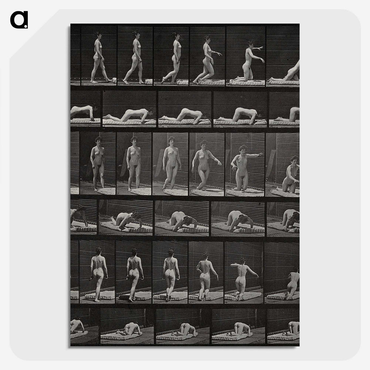 2-90_Eadweard-Muybridge_picture-crop