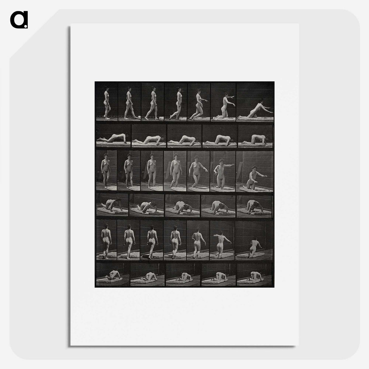 2-90_Eadweard-Muybridge_picture