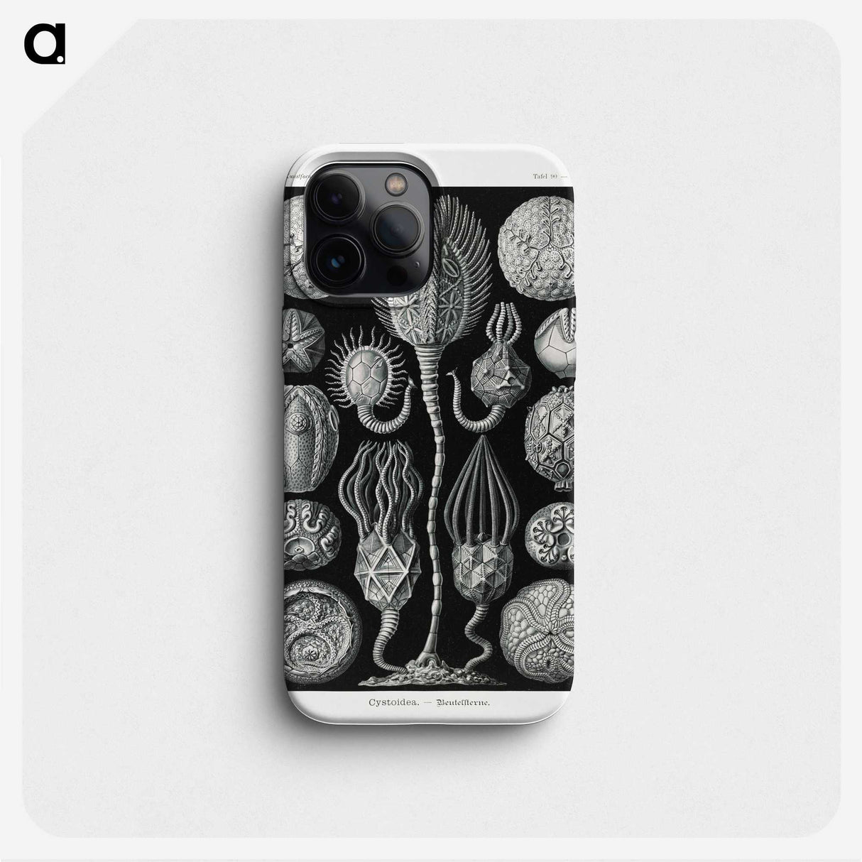 2-90_Ernst-Haeckel_phone