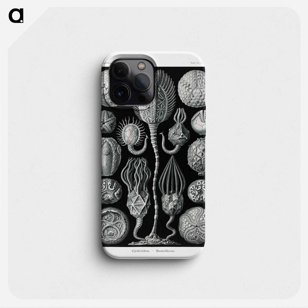 Cystoidea–Beutelsterne - エルンスト ヘッケル Phone Case.