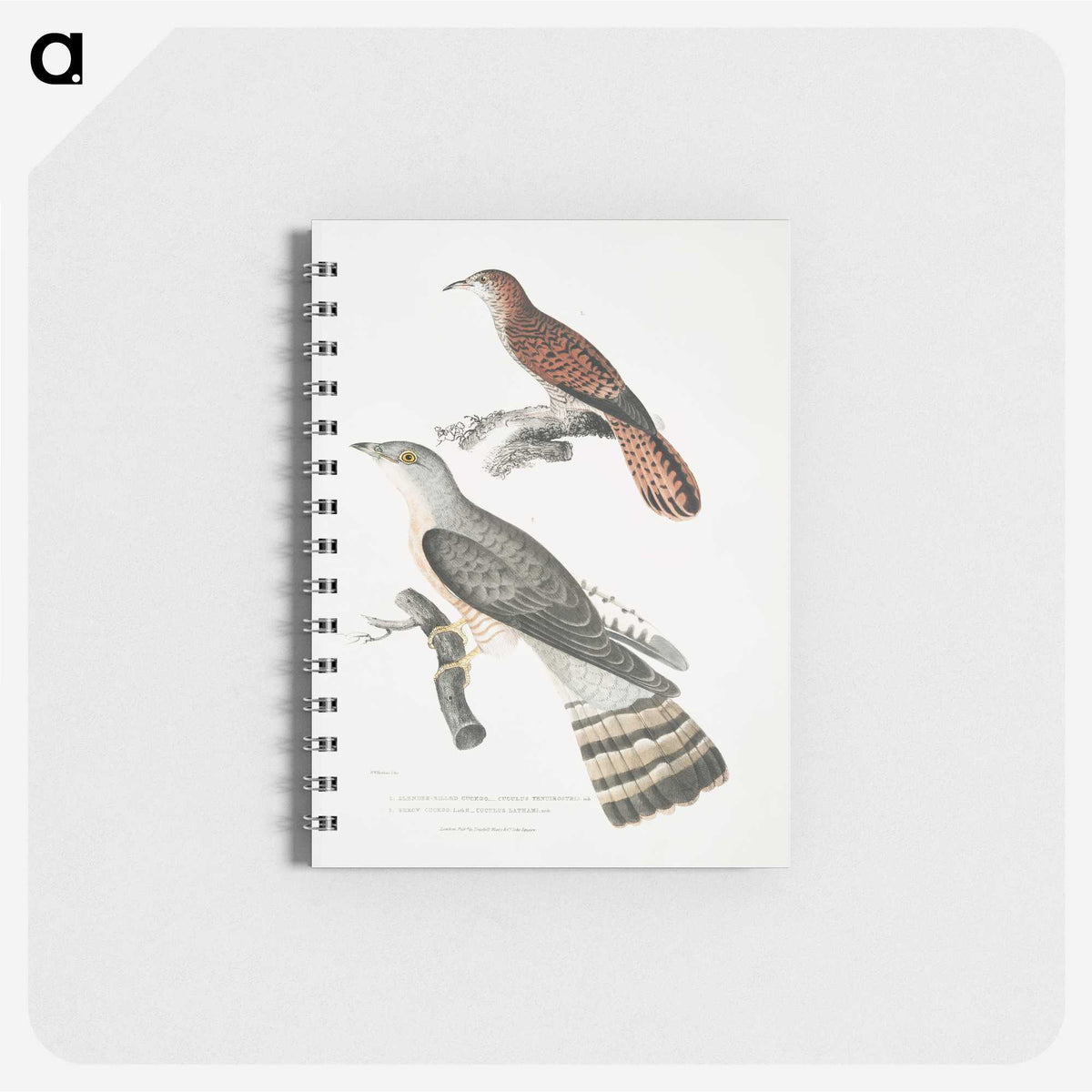 2-90_Indian-Zoology_memo