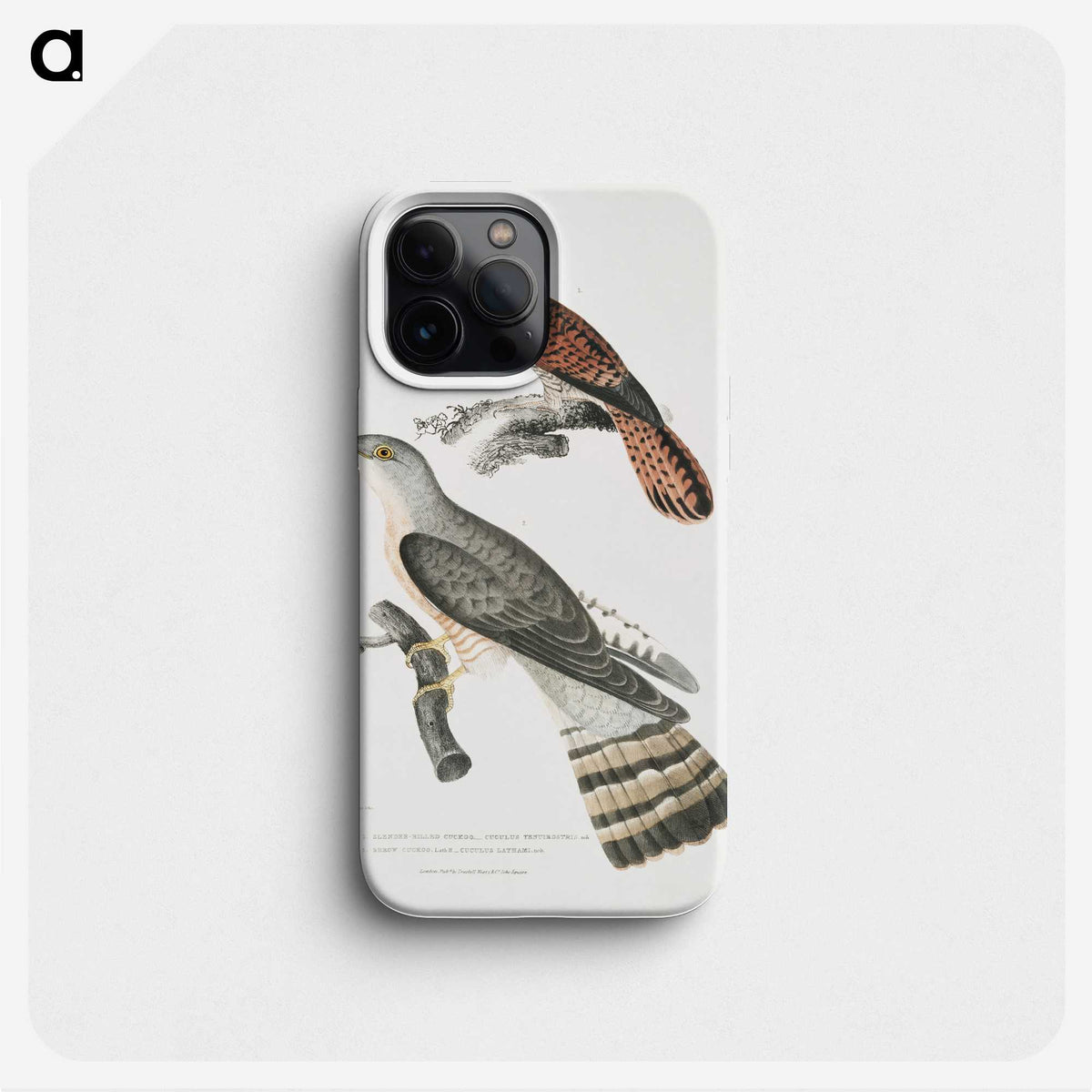2-90_Indian-Zoology_phone