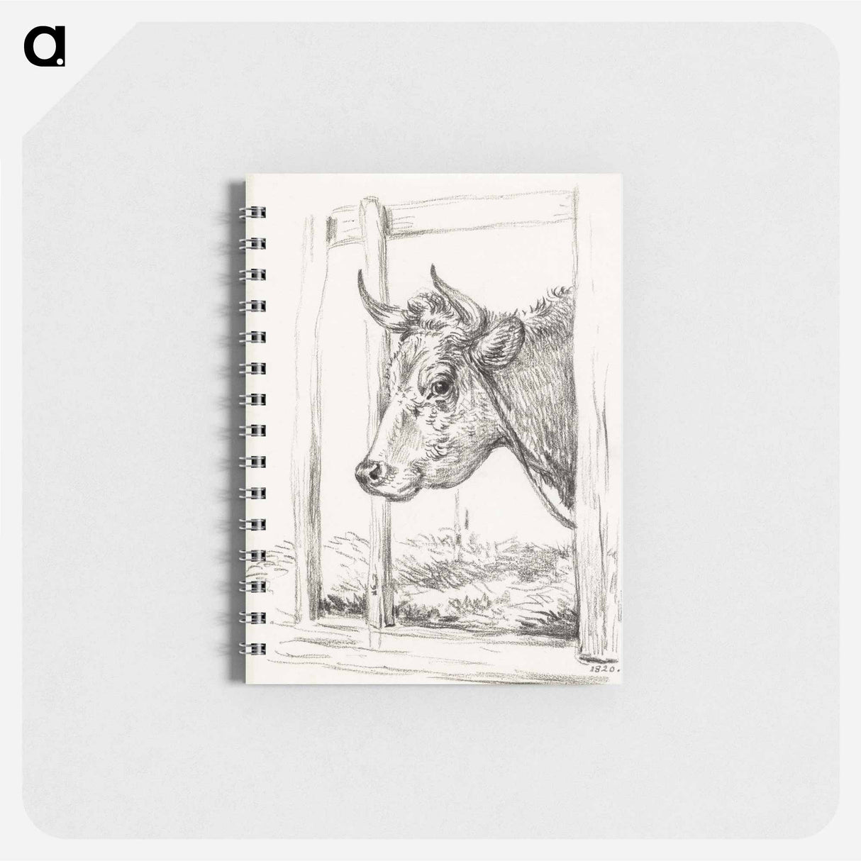 Head of a cow - ジャン ベルナール Memo.