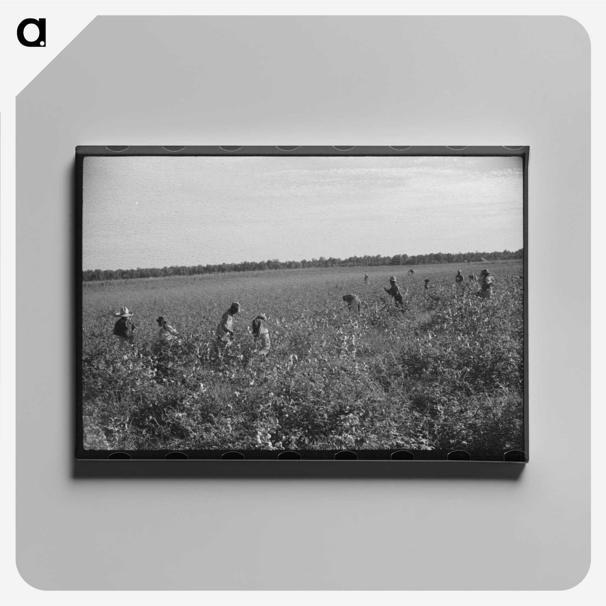 2-90_Marion-Post-Wolcott_canvas