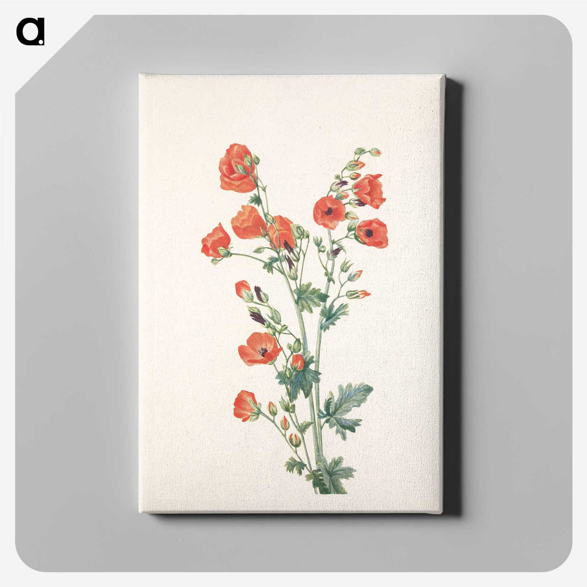 2-90_Mary-Vaux-Walcott_canvas