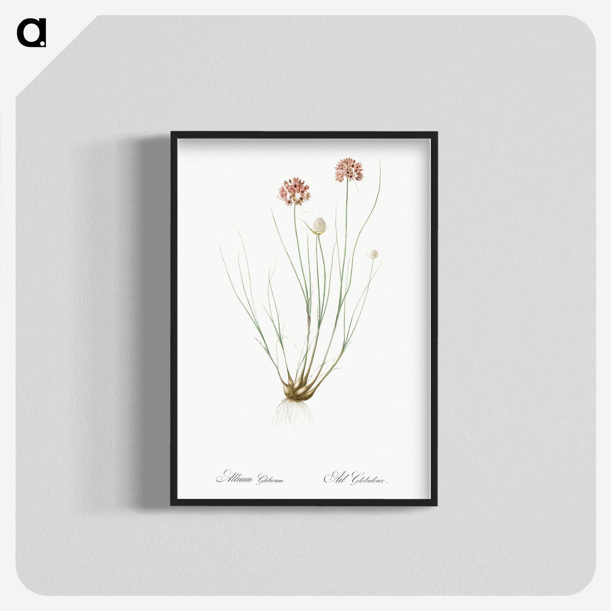 2-90_The-Lilies_blk-crop