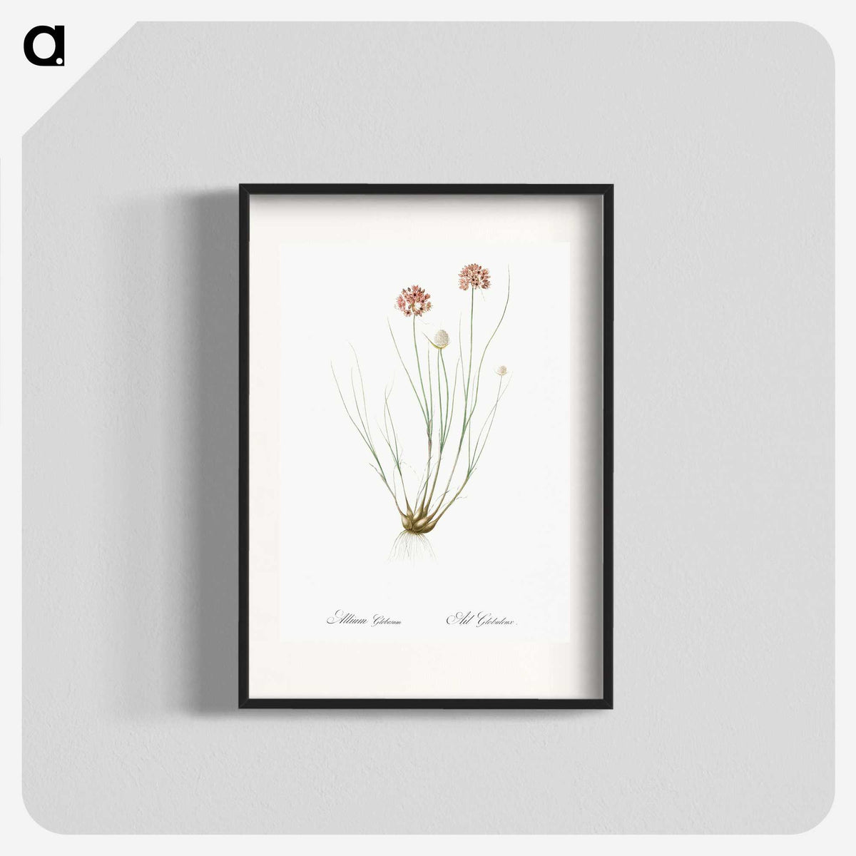 2-90_The-Lilies_blk