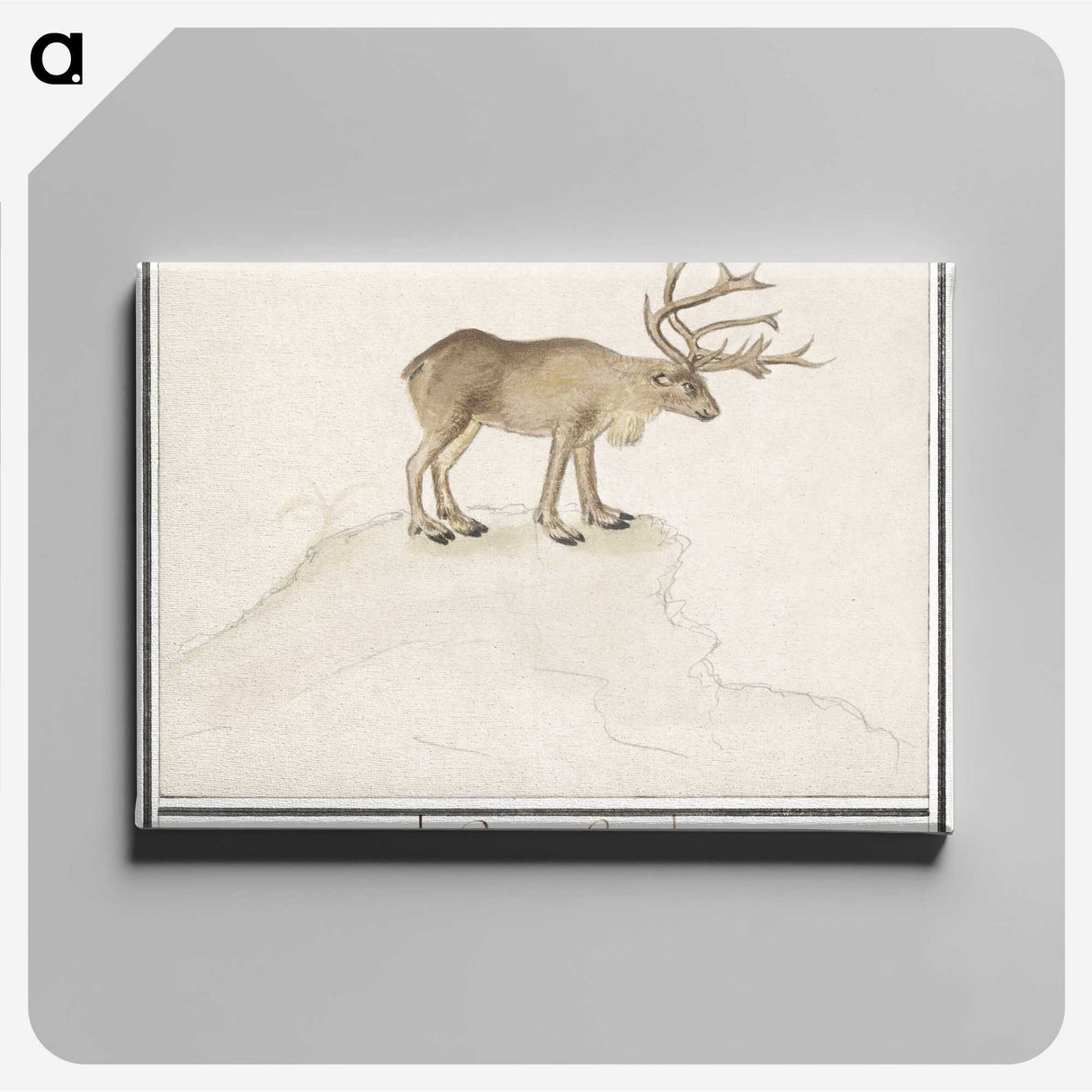 2-91_Anselmus-Boetius-de-Boodt_canvas
